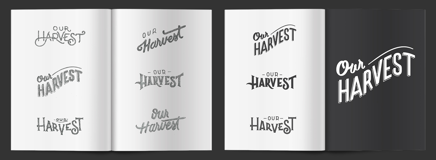 our-harvest-logo-concepts-sketchbook.jpg